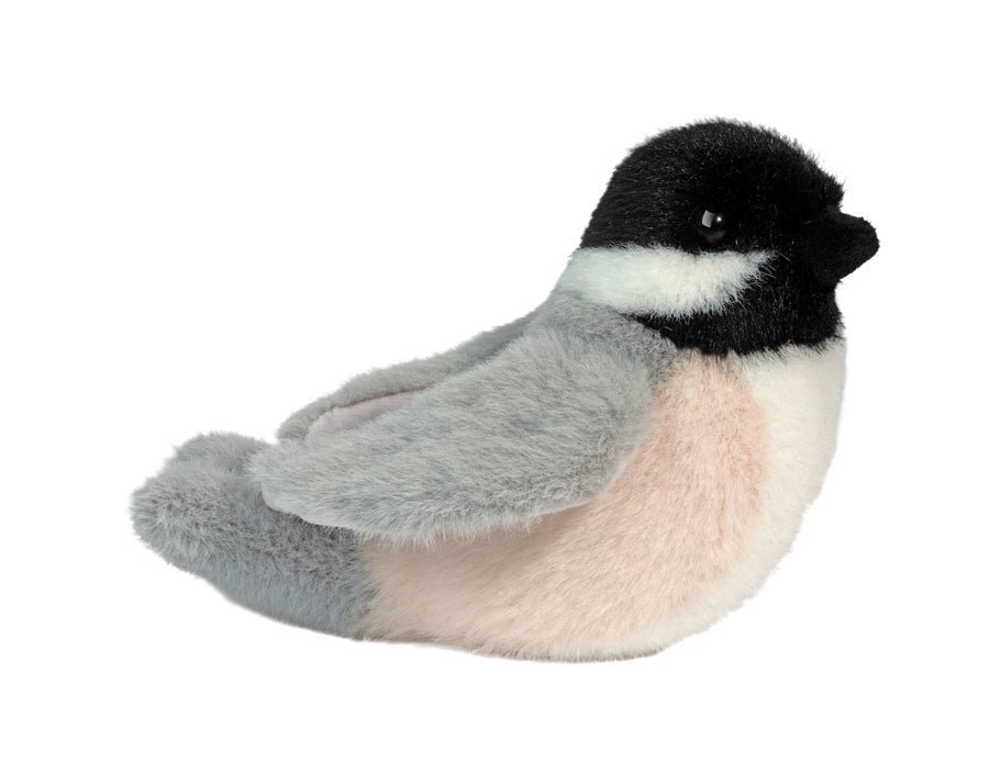 Chipper Chickadee Bird