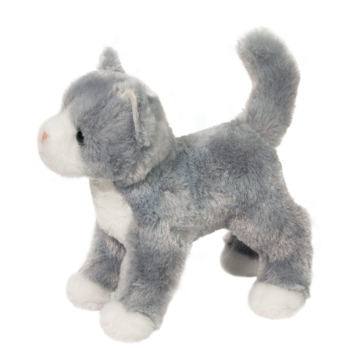 Scatter Gray Cat