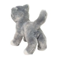 Scatter Gray Cat