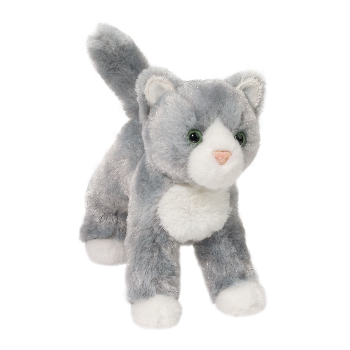 Scatter Gray Cat