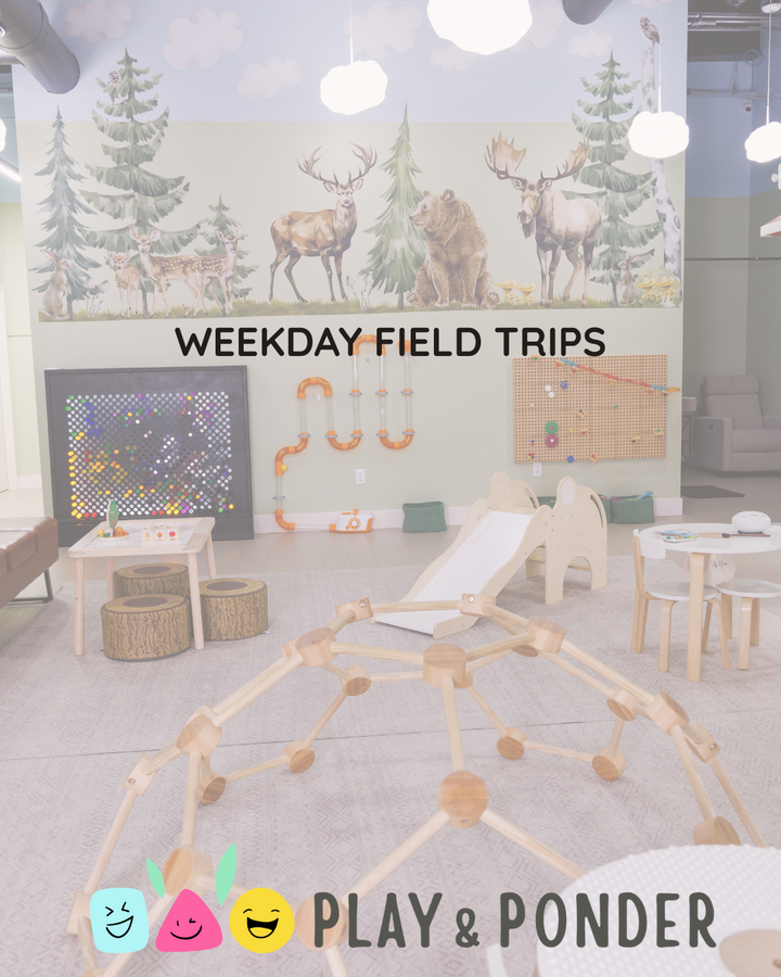Field Trip Booking – Private Indoor Play Session (Up to 18 Kids)