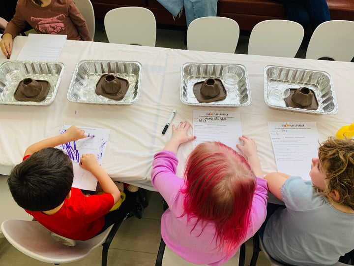 Field Trip Booking – Private Indoor Play Session (Up to 18 Kids)