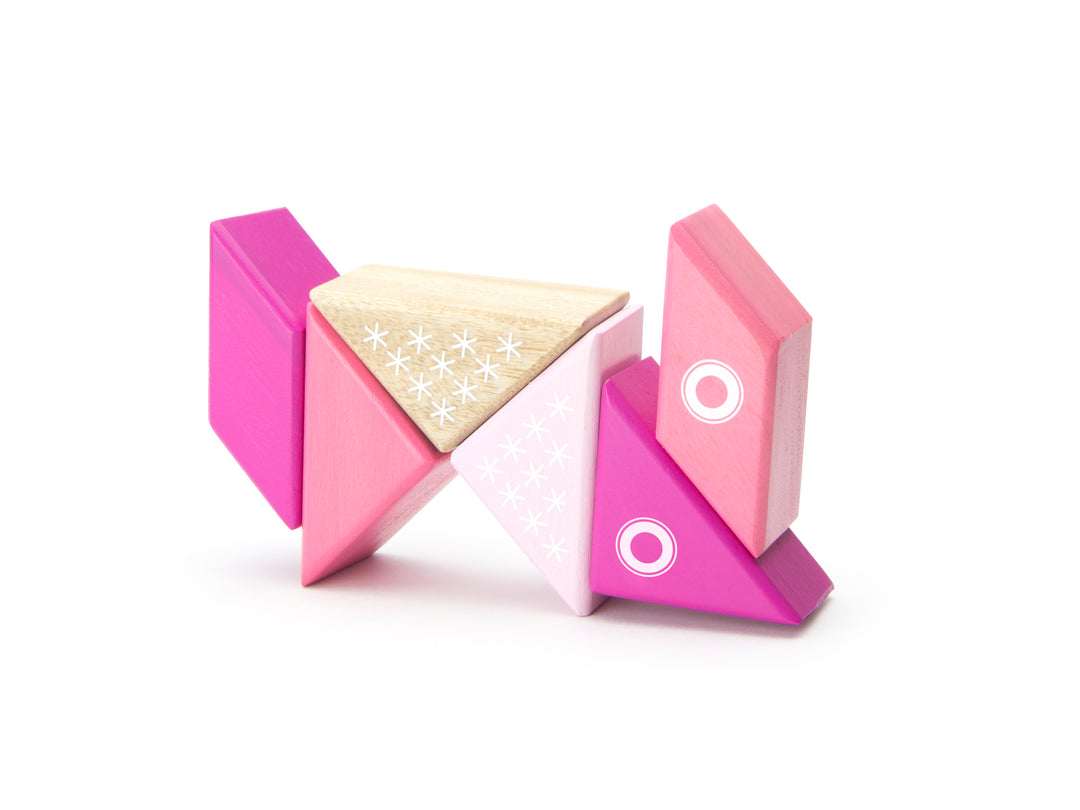 Travel Pals - Kitty Magnetic Wooden Blocks 6 pieces
