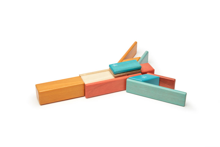 14-Piece Set Magnetic Wooden Blocks Tegu Classics