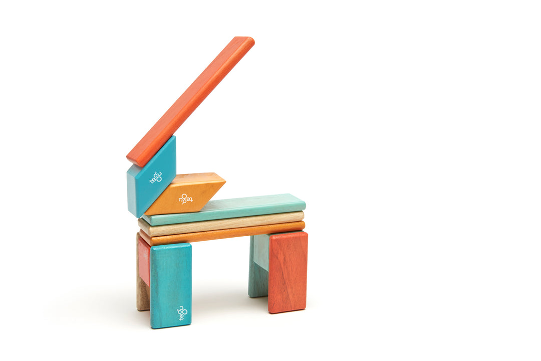 14-Piece Set Magnetic Wooden Blocks Tegu Classics