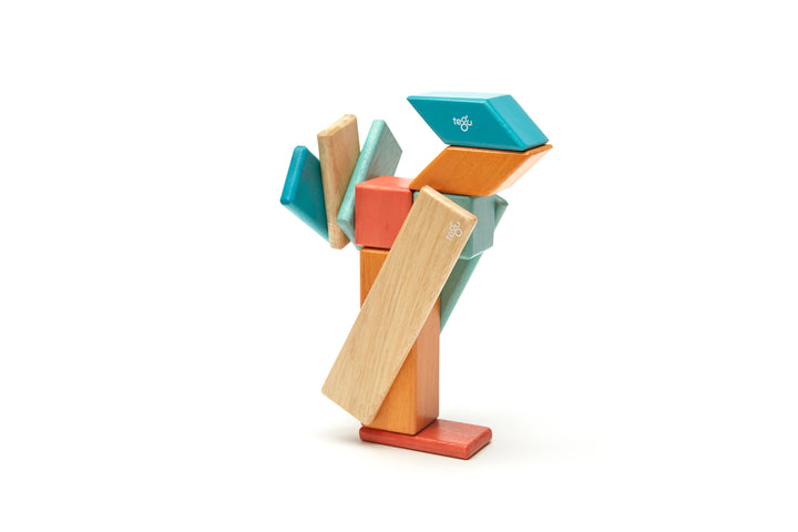 14-Piece Set Magnetic Wooden Blocks Tegu Classics