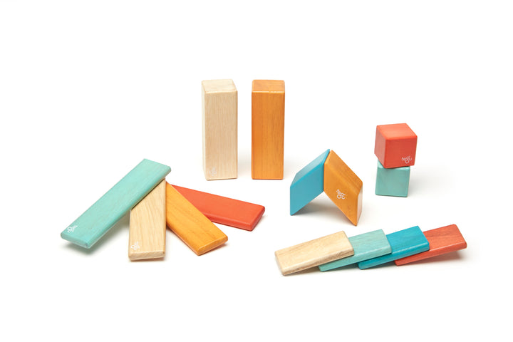 14-Piece Set Magnetic Wooden Blocks Tegu Classics